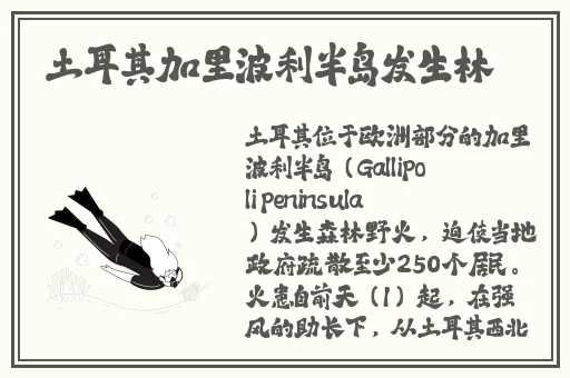 法国满天星《八尺夫人》